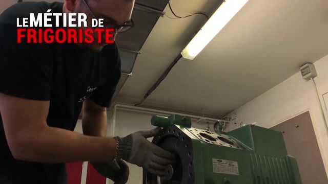Frigoriste