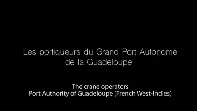 Les portiqueurs du Grand Port Autonome de la Guadeloupe