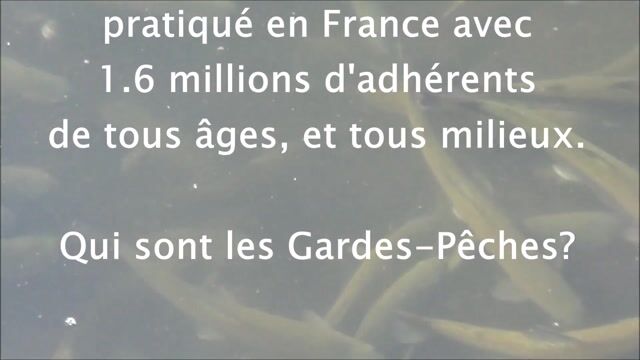 Garde la pêche jusqu'au bout de la ligne!