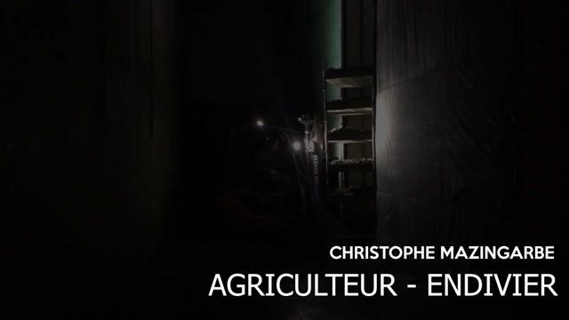 Endivier, un métier de passion et d'avenir !
