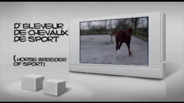 A la rencontre d'un éleveur de chevaux de sport