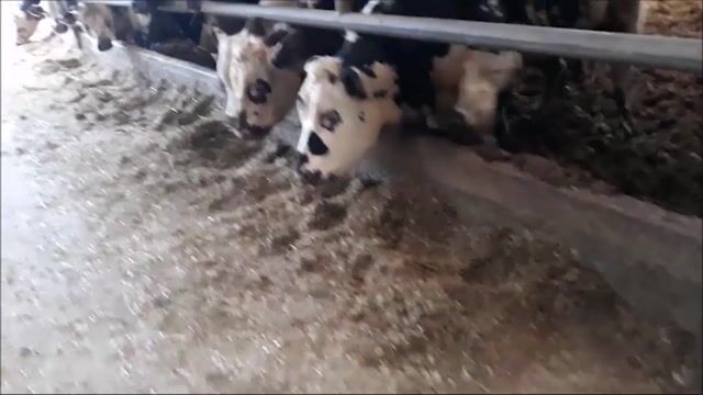 Agriculture