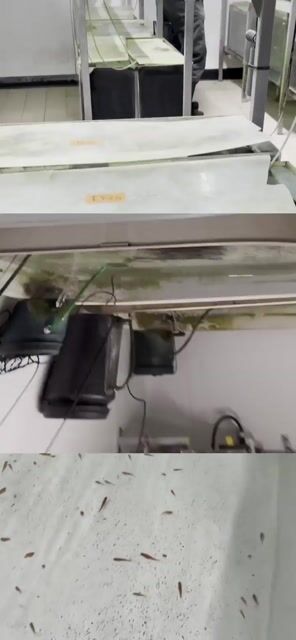 Aquaculteur métier fédérateur