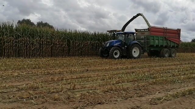 De l'ensilage de la récolte à la distribution du maïs