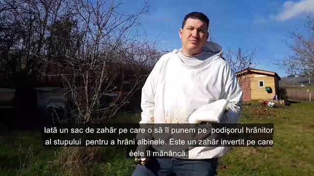 Une lendemain pour les abeilles
