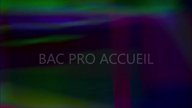 BAC PRO ACCUEIL