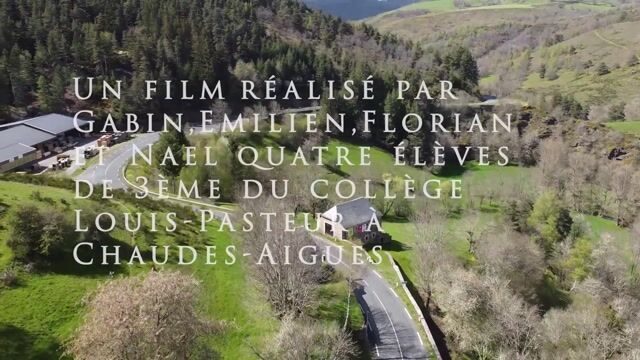 Les survivants du bois