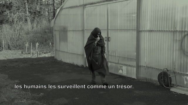Effet de serre