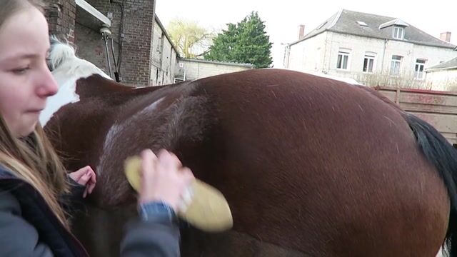 L'équitation, un sport pour tous !