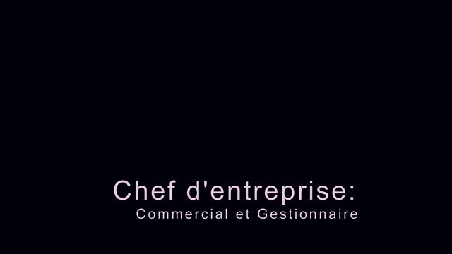 Chef d'entreprise : commercial et gestionnaire