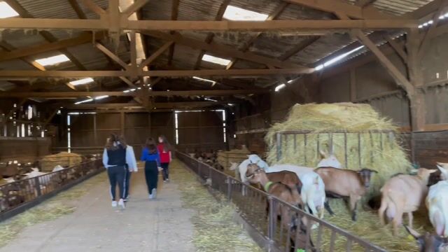 Agricultrice, un métier de bonhomme ?