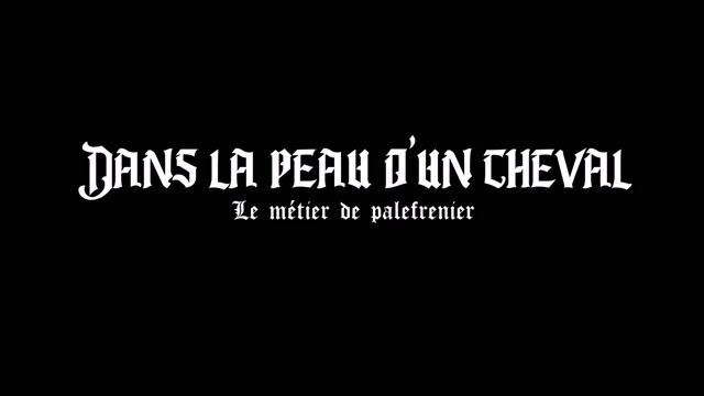 Dans la peau d'un cheval