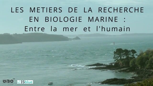 Les métiers de la recherche en Biologie marine : la mer et l'humain