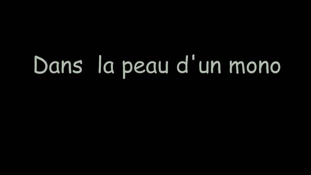 Dans la peau d'un mono