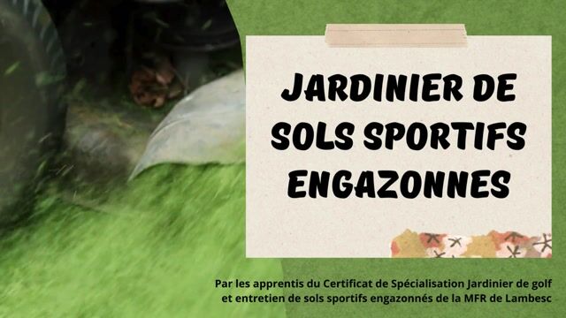 Pelouse parfaite : le quotidien du métier de jardinier
