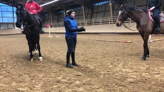 Le coach en équitation