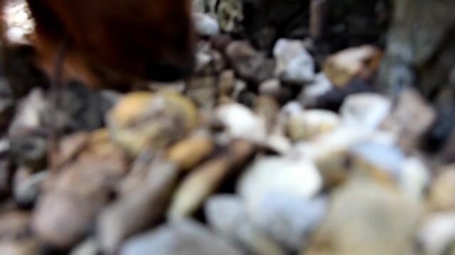 A la découverte des pierres précieuses