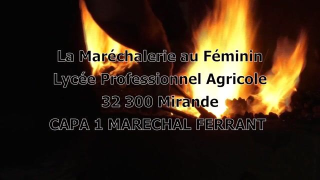 La maréchalerie au féminin
