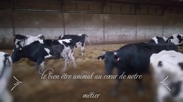 Le bien-être animal au coeur de notre métier