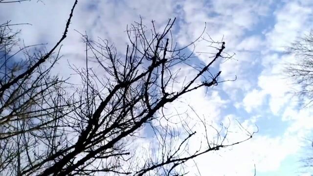 Chant du coeur d'un animateur !