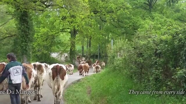 Agriculteur, un métier d'Avenir.