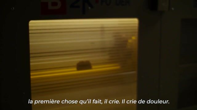 La vie est belle