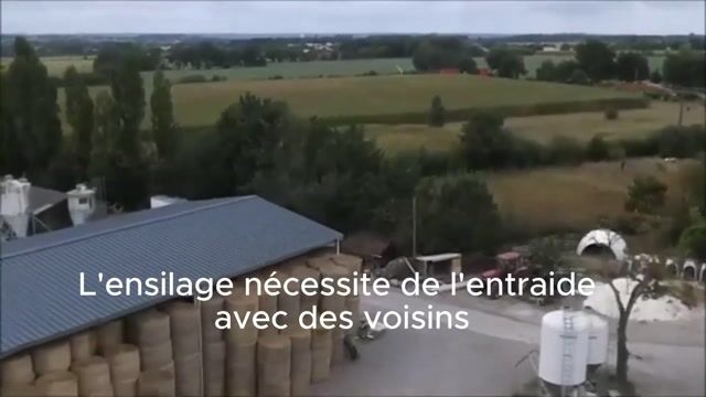 L'entraide pendant l'ensilage de maïs