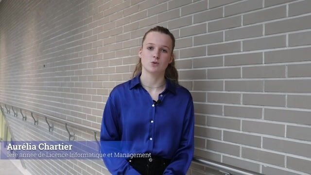Licence Informatique & Management