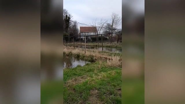 pisciculteur d'étang une passion à plein temps