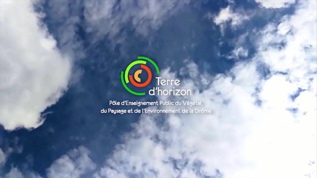 La formation BTS Aménagement paysager