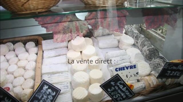 Éleveur de vaches laitières