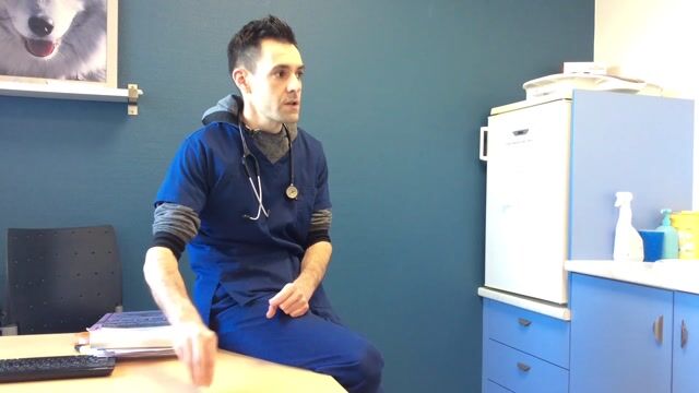Vétérinaire, un métier de passion