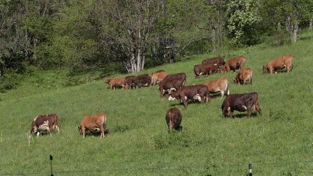 Les quatre saisons de l'agriculture