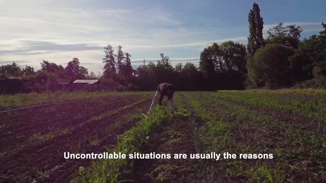Maraîchage - Un portail à travers la nature