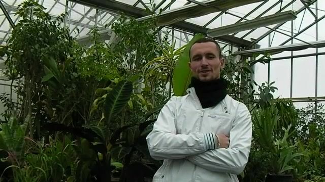 La Main Verte