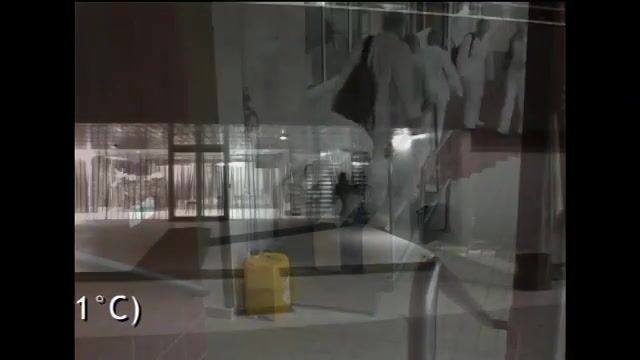 Solidarité à l'atelier, mission impossible ?