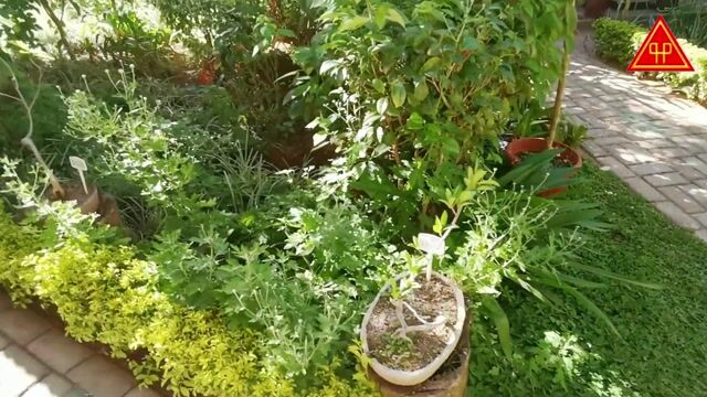 MON JARDIN URBAIN