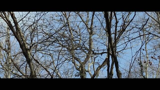 Métier de Technicien-Forestier