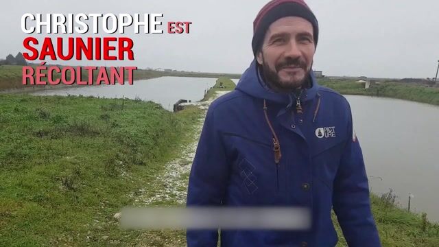 Saunier récoltant
