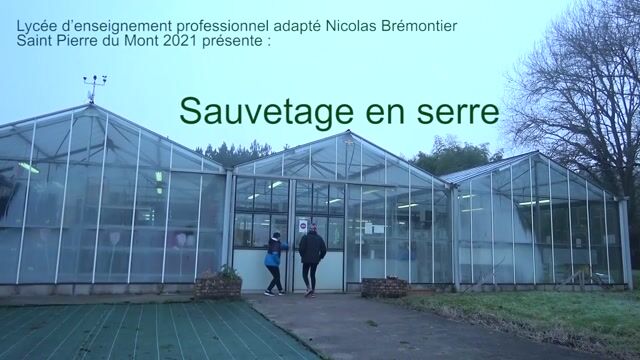Sauvetage en serre