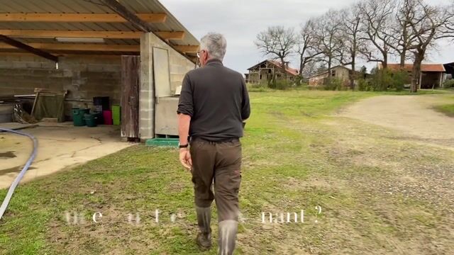Le métier de pisciculteur d'étang