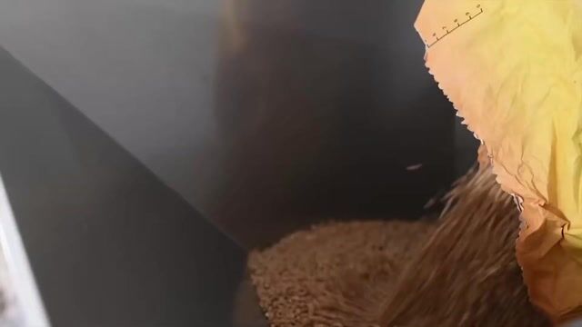 Du champ à l'assiette