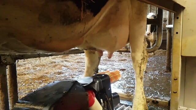 la modernisation du travail agricole