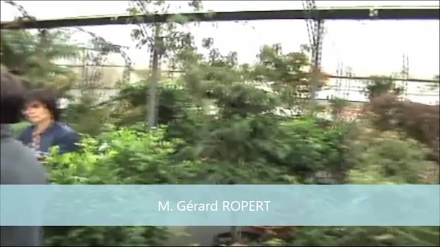 Le Rémoignage de M. Ropert