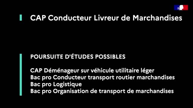 CAP et BAC PRO Conduite Routière