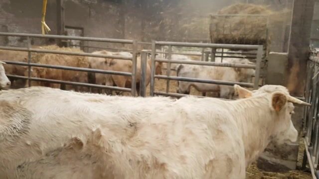 365 jours agri
