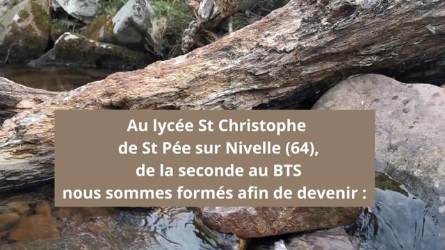 La gestion des milieux naturels et de la faune : une formation 100% nature sur la côte basque