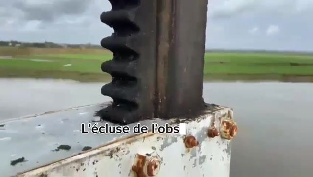 Les marais font rêver