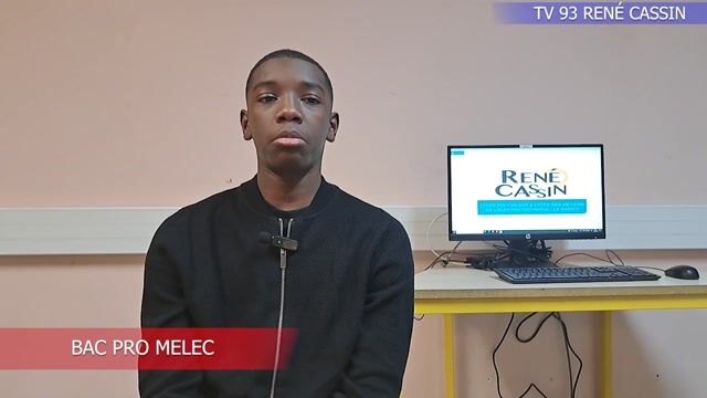 Bac Pro MELEC