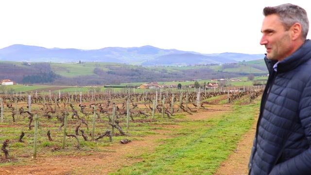 Courtier en vin